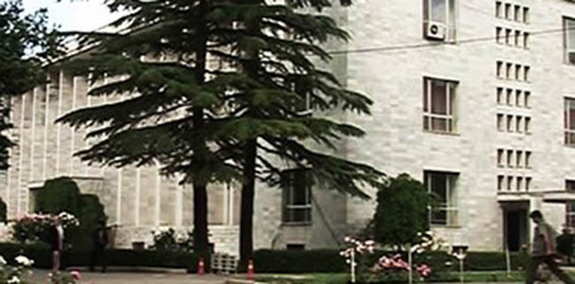 Foreign Ministry a Weak, Incapable Institution: CEO’s Office